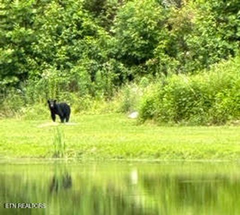 Tiny photo for 0 Barnes Hollow Rd, Cosby, TN 37722 (MLS # 1339356)