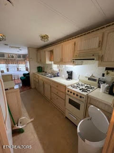 Tiny photo for 0 Barnes Hollow Rd, Cosby, TN 37722 (MLS # 1339356)