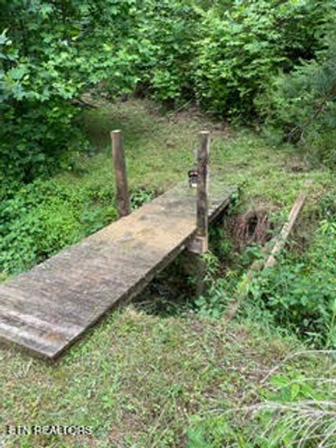 Tiny photo for 0 Barnes Hollow Rd, Cosby, TN 37722 (MLS # 1339356)