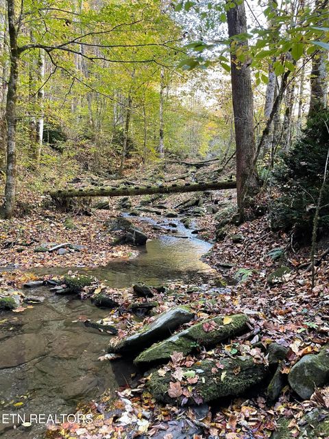 Tiny photo for 0 Barnes Hollow Rd, Cosby, TN 37722 (MLS # 1339356)