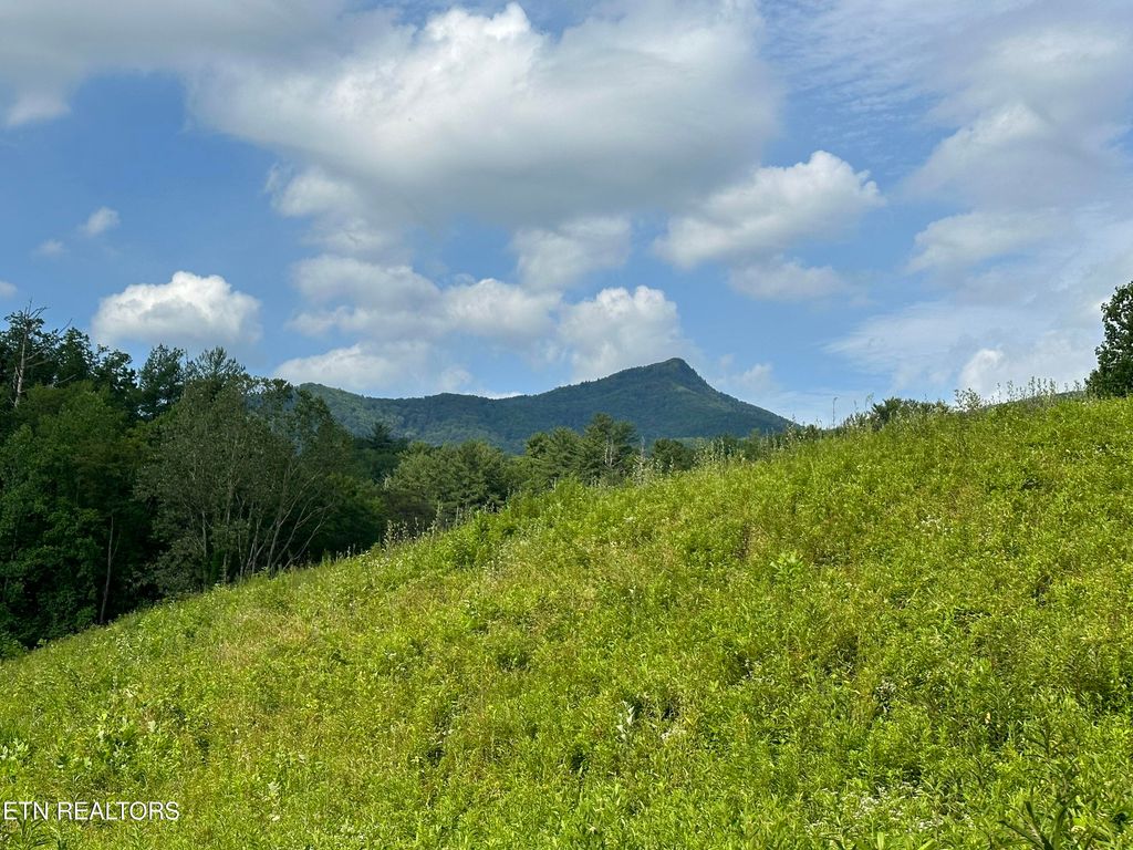 Photo of 0 Barnes Hollow Rd, Cosby, TN 37722 (MLS # 1339356)