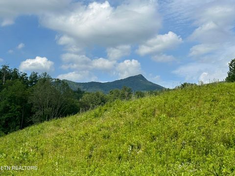 Tiny photo for 0 Barnes Hollow Rd, Cosby, TN 37722 (MLS # 1339356)