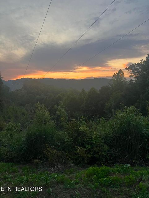 Tiny photo for 0 Barnes Hollow Rd, Cosby, TN 37722 (MLS # 1339356)