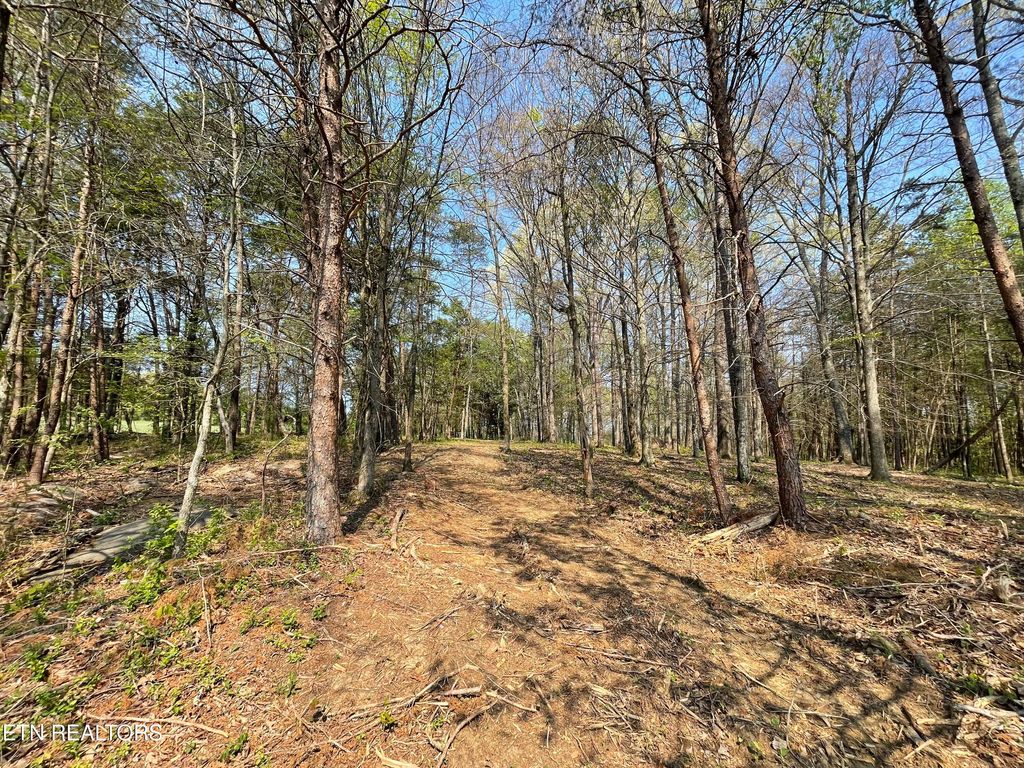 Photo of 140 Padstow Lane, Lenoir City, TN 37772 (MLS # 1339619)