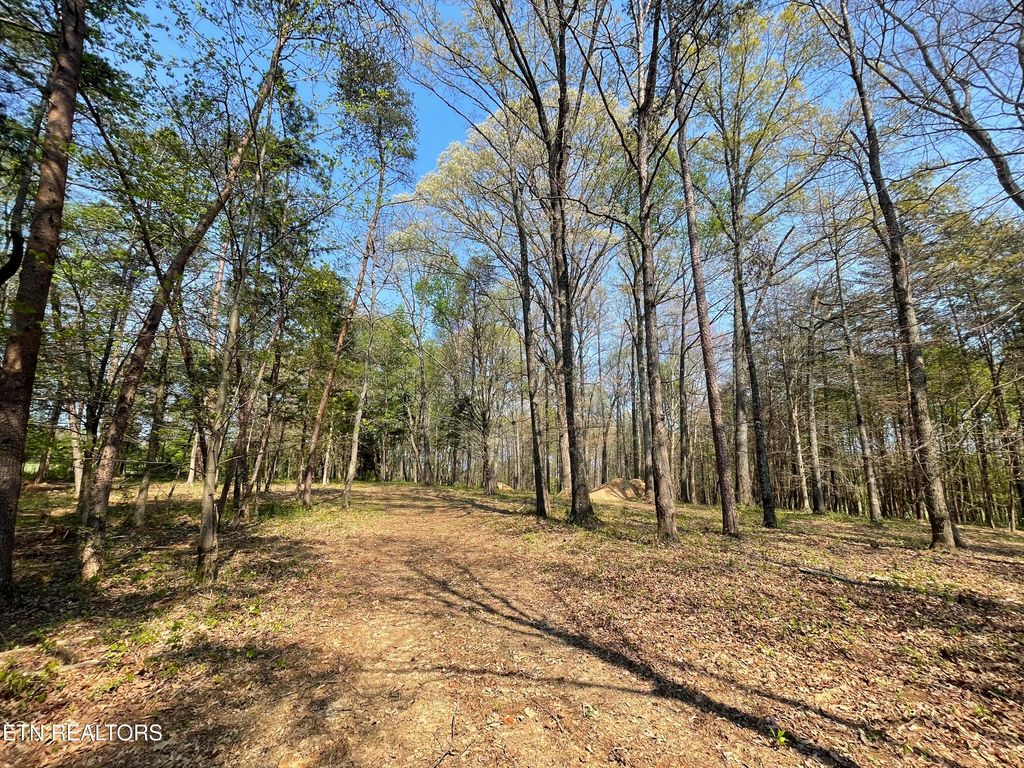 Photo of 140 Padstow Lane, Lenoir City, TN 37772 (MLS # 1339619)