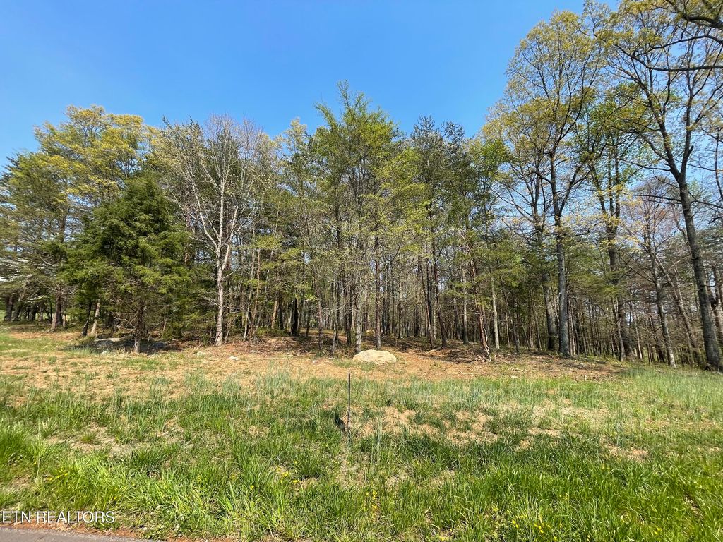 Photo of 140 Padstow Lane, Lenoir City, TN 37772 (MLS # 1339619)