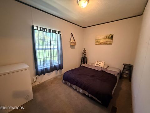 Tiny photo for 174 Claude Howard Rd, Deer Lodge, TN 37726 (MLS # 1337999)