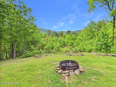 Tiny photo for 1457 Smithfield Rd, Tellico Plains, TN 37385 (MLS # 1340798)