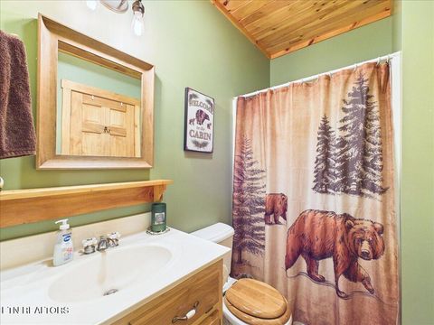 Tiny photo for 1457 Smithfield Rd, Tellico Plains, TN 37385 (MLS # 1340798)