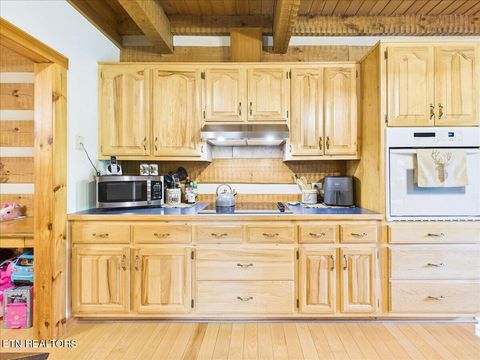 Tiny photo for 1457 Smithfield Rd, Tellico Plains, TN 37385 (MLS # 1340798)