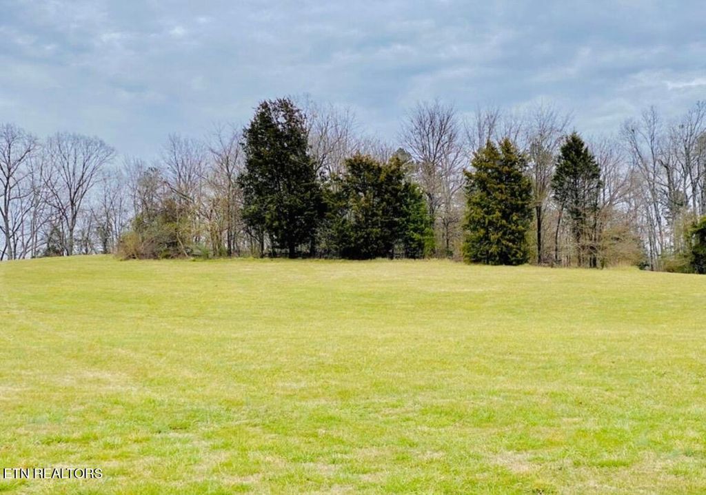 Photo of Thunder Ridge Dr Drive, Vonore, TN 37885 (MLS # 1322321)