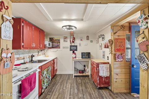 Tiny photo for 7810 Berry Williams Rd, Townsend, TN 37882 (MLS # 1326072)