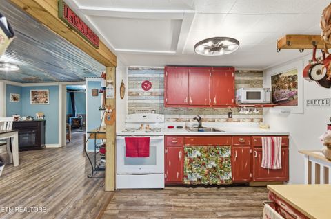 Tiny photo for 7810 Berry Williams Rd, Townsend, TN 37882 (MLS # 1326072)