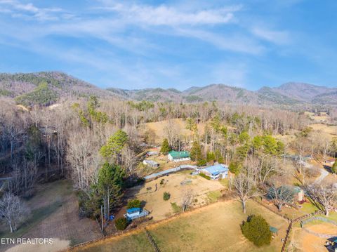 Tiny photo for 7810 Berry Williams Rd, Townsend, TN 37882 (MLS # 1326072)
