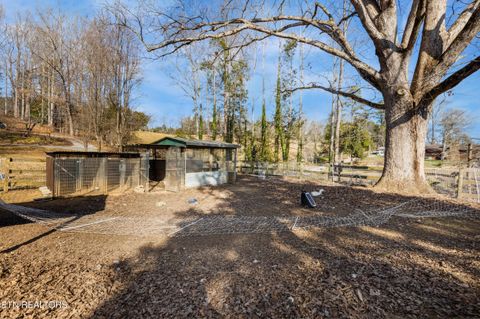 Tiny photo for 7810 Berry Williams Rd, Townsend, TN 37882 (MLS # 1326072)