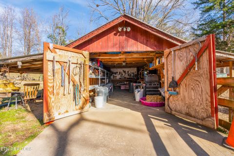 Tiny photo for 7810 Berry Williams Rd, Townsend, TN 37882 (MLS # 1326072)