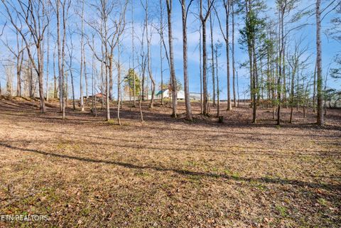 Tiny photo for 7810 Berry Williams Rd, Townsend, TN 37882 (MLS # 1326072)