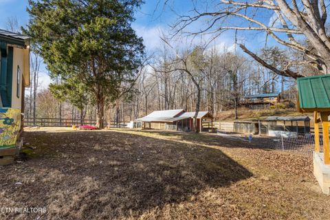 Tiny photo for 7810 Berry Williams Rd, Townsend, TN 37882 (MLS # 1326072)
