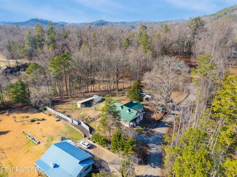 Tiny photo for 7810 Berry Williams Rd, Townsend, TN 37882 (MLS # 1326072)