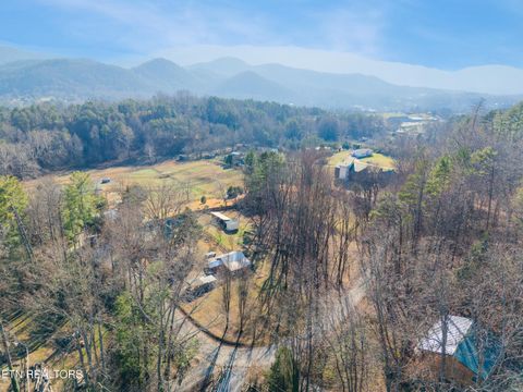 Tiny photo for 7810 Berry Williams Rd, Townsend, TN 37882 (MLS # 1326072)