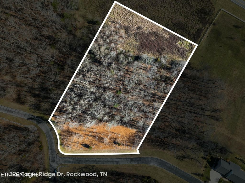 Photo of 320 Eagle Ridge Drive, Rockwood, TN 37854 (MLS # 1290461)