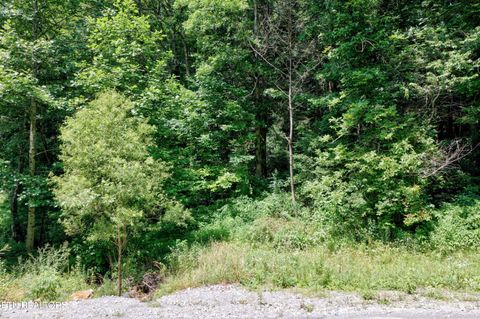 Tiny photo for Leffle Webb Rd, Crossville, TN 38572 (MLS # 1346744)