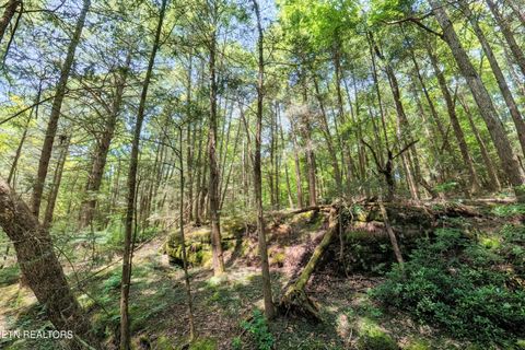 Tiny photo for Leffle Webb Rd, Crossville, TN 38572 (MLS # 1346744)