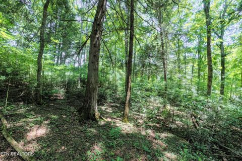 Tiny photo for Leffle Webb Rd, Crossville, TN 38572 (MLS # 1346744)