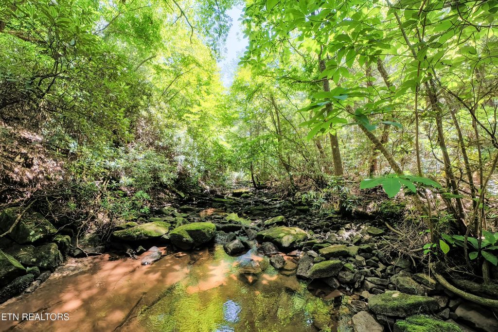 Photo of Leffle Webb Rd, Crossville, TN 38572 (MLS # 1346744)