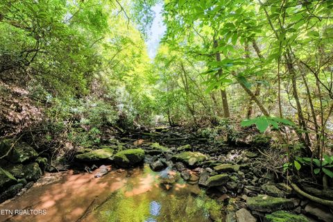 Photo of Leffle Webb Rd, Crossville, TN 38572 (MLS # 1346744)