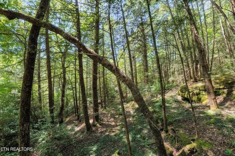 Tiny photo for Leffle Webb Rd, Crossville, TN 38572 (MLS # 1346744)