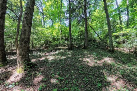 Tiny photo for Leffle Webb Rd, Crossville, TN 38572 (MLS # 1346744)