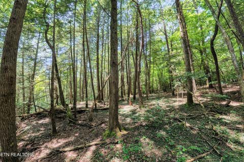 Tiny photo for Leffle Webb Rd, Crossville, TN 38572 (MLS # 1346744)