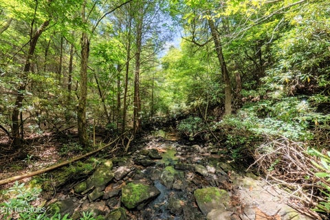 Tiny photo for Leffle Webb Rd, Crossville, TN 38572 (MLS # 1346744)