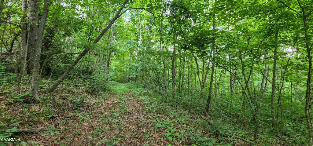 Photo of 2 Peregrine Drive, Tazewell, TN 37879 (MLS # 1219611)