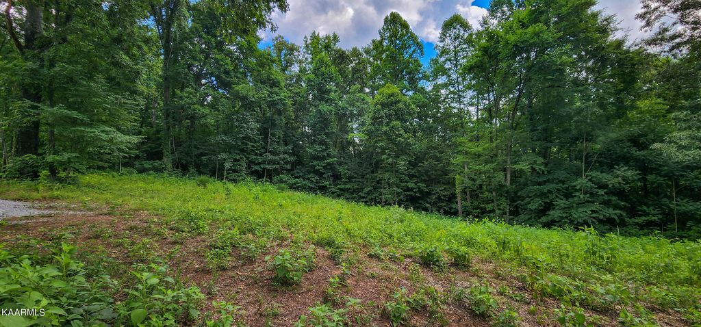 Photo of 2 Peregrine Drive, Tazewell, TN 37879 (MLS # 1219611)