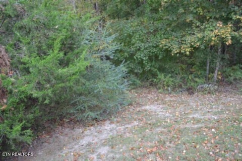 Tiny photo for 128 Cummins Court, Celina, TN 38551 (MLS # 1359498)