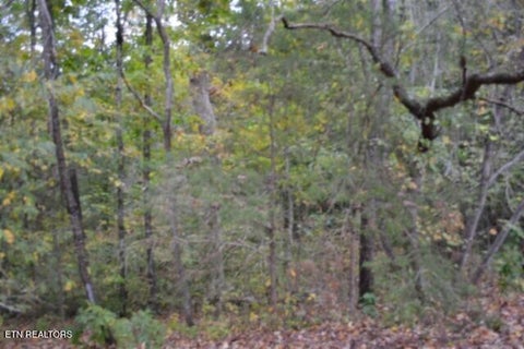 Tiny photo for 128 Cummins Court, Celina, TN 38551 (MLS # 1359498)