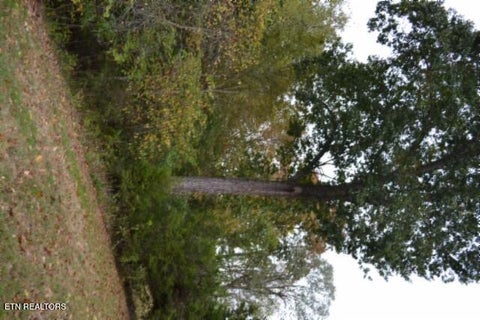 Tiny photo for 128 Cummins Court, Celina, TN 38551 (MLS # 1359498)