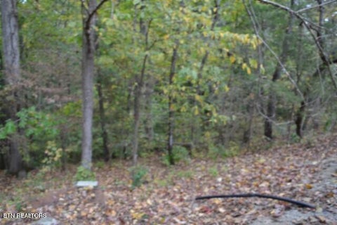 Tiny photo for 128 Cummins Court, Celina, TN 38551 (MLS # 1359498)