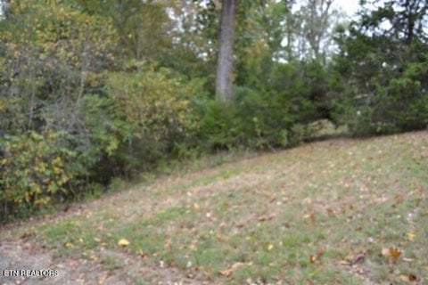 Tiny photo for 128 Cummins Court, Celina, TN 38551 (MLS # 1359498)