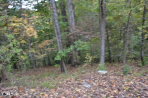 Tiny photo for 128 Cummins Court, Celina, TN 38551 (MLS # 1359498)
