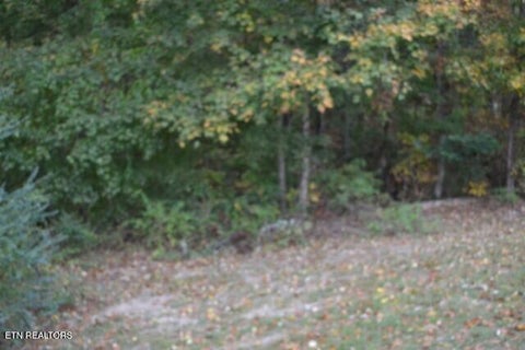 Tiny photo for 128 Cummins Court, Celina, TN 38551 (MLS # 1359498)