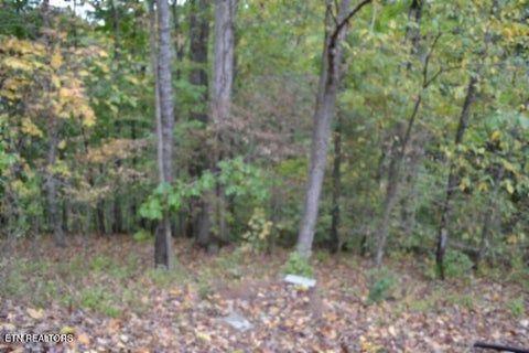 Tiny photo for 128 Cummins Court, Celina, TN 38551 (MLS # 1359498)