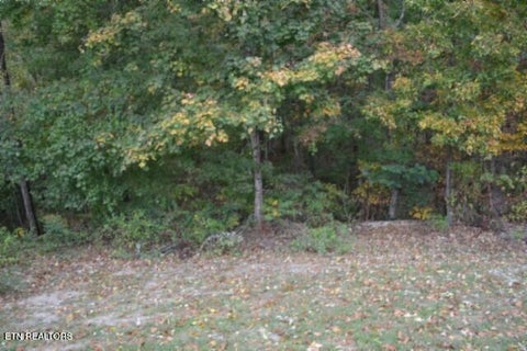 Tiny photo for 128 Cummins Court, Celina, TN 38551 (MLS # 1359498)
