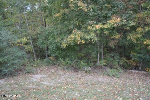 Tiny photo for 128 Cummins Court, Celina, TN 38551 (MLS # 1359498)