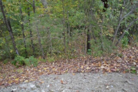 Tiny photo for 128 Cummins Court, Celina, TN 38551 (MLS # 1359498)