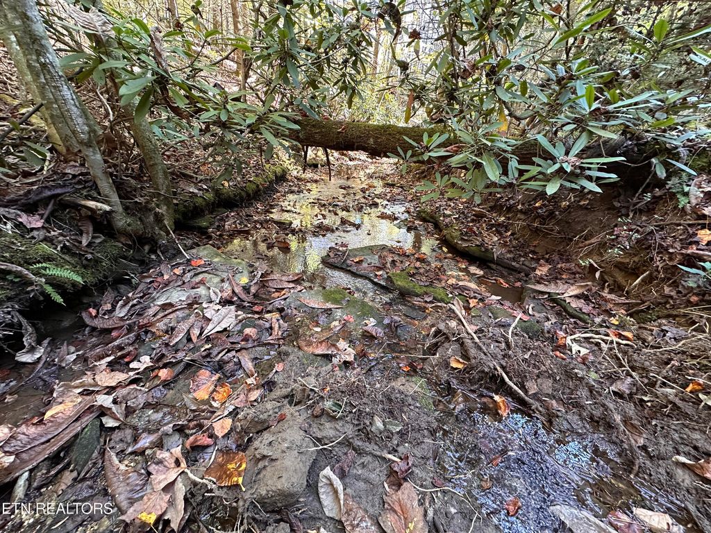 Photo of 186 Cave Branch Rd, Allardt, TN 38504 (MLS # 1319596)