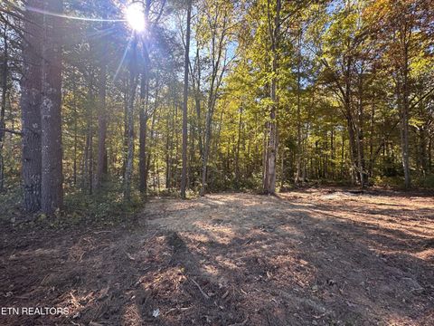 Photo of 186 Cave Branch Rd, Allardt, TN 38504 (MLS # 1319596)