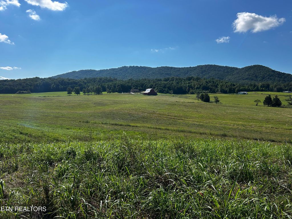 Photo of 4 Reliance Rd, Tellico Plains, TN 37385 (MLS # 1309888)